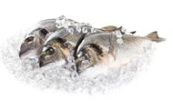 The chilled and frozen fish